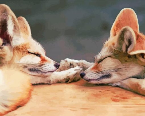 Sleepy Fox Couple Paint By Number