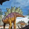 Stegosaurus Reptile Paint By Number