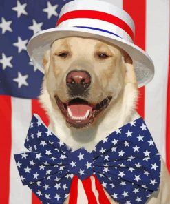 The Patriotic Dog Paint By Number