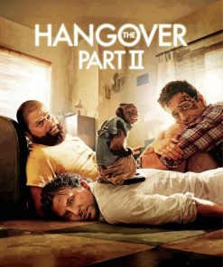 The Hangover Poster Paint By Number