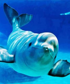 Baby Beluga Whale Paint By Number