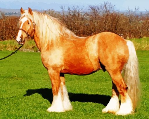 Beige Cob Horse Paint By Number