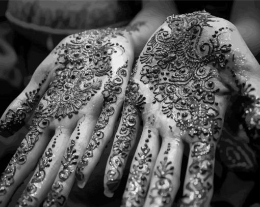 Monochrome Henna Paint By Number