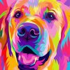 Colorful Dog Paint By Number