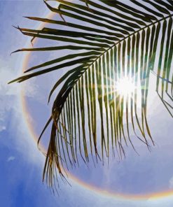 Honduras Palm And Rainbow Paint By Number