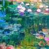 Monet Waterlily Paint By Number