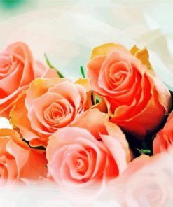 Peach Roses Flowers Paint By Number