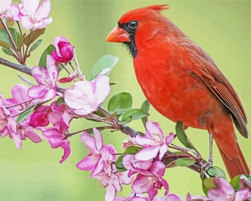 Red Cardinal Bird Paint By Number