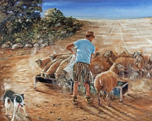 Sheep Farmer Man Paint By Number