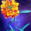 Wallflower Plant Art Paint By Number