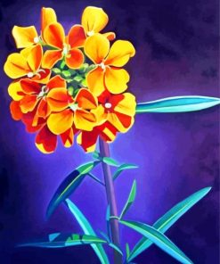 Wallflower Plant Art Paint By Number