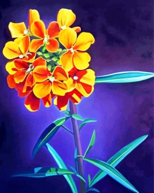 Wallflower Plant Art Paint By Number