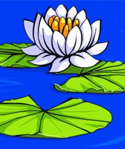 White Lily Pond Paint By Number