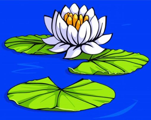 White Lily Pond Paint By Number