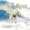 White Mythical Horse Paint By Number