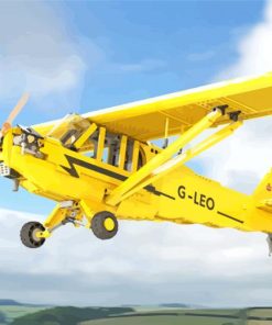 Yellow Piper Cub Paint By Number