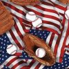 American Flags Baseballs Paint By Number