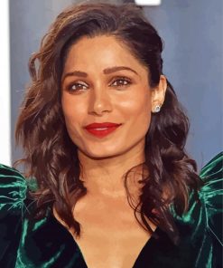 Frieda Pinto Actress Paint By Number