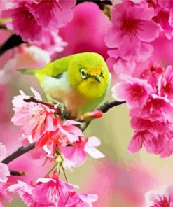 Bird In Pink Flowers Paint By Number