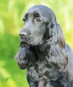 Cocker Spaniel Dog Paint By Number