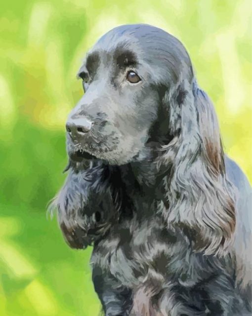 Cocker Spaniel Dog Paint By Number