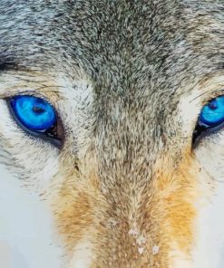 Blue Wolf Eyes Paint By Number