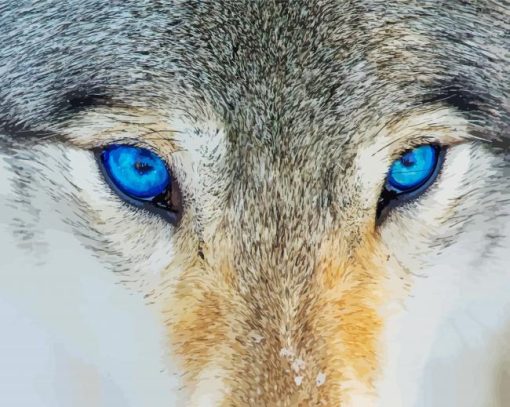 Blue Wolf Eyes Paint By Number