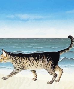 Cat Walking By Sea Paint By Number