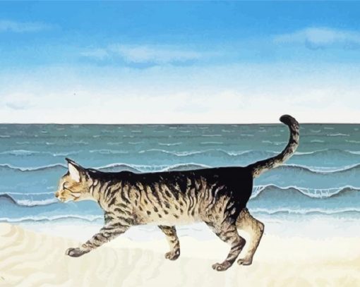 Cat Walking By Sea Paint By Number