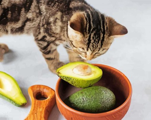 Cat And Avocado Fruits Paint By Number