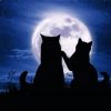 Cats At Moonlight Silhouette Paint By Number