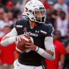 Cincinnati Bearcats American Footballer Paint By Number