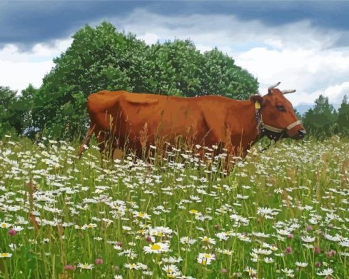 Cow In Daisies Field Paint By Number