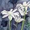 Flannel Flowers Art Paint By Number