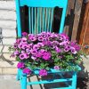 Flowers Pots Blue Chair Paint By Number