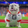 Georgia Bulldog Illustration Paint By Number