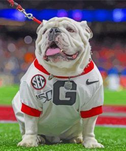 Georgia Bulldog Illustration Paint By Number