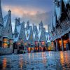 Harry Potter Hogsmeade At Night Paint By Number