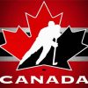 Hockey Canada Logo Paint By Number