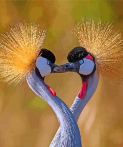 Lovely Grey Crowned Crane Paint By Number