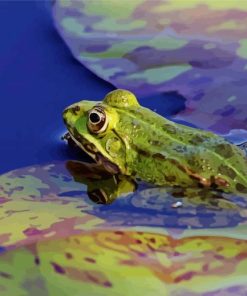 Marsh Frog On Leaf Paint By Number