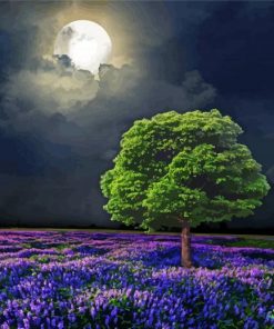 Moon And Tree Art Paint By Number