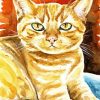 Orange Tabby Cat Art Paint By Number