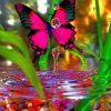 Pink Butterfly With Water Paint By Number