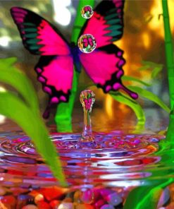 Pink Butterfly With Water Paint By Number