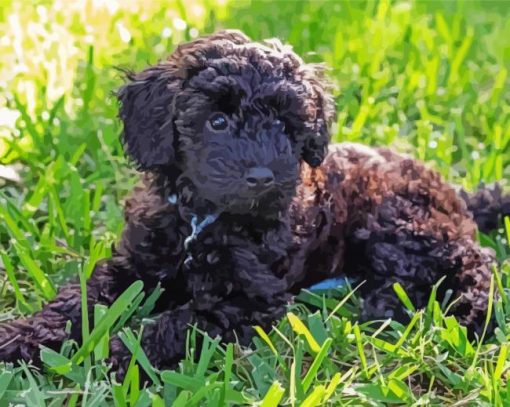 Black Schnoodle Puppy Paint By Number