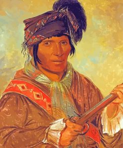 Seminole Indian Paint By Number