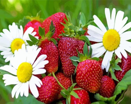 Strawberry Fruits And Daisies Paint By Number