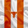 Texas Longhorn Flag Paint By Number