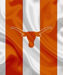 Texas Longhorn Flag Paint By Number